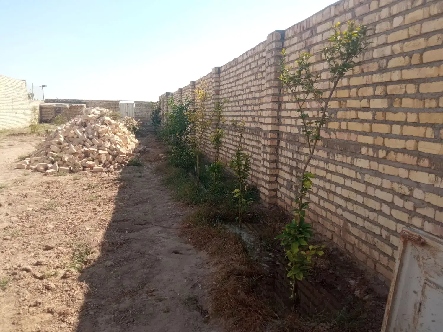زمین باغ چهاردیواری