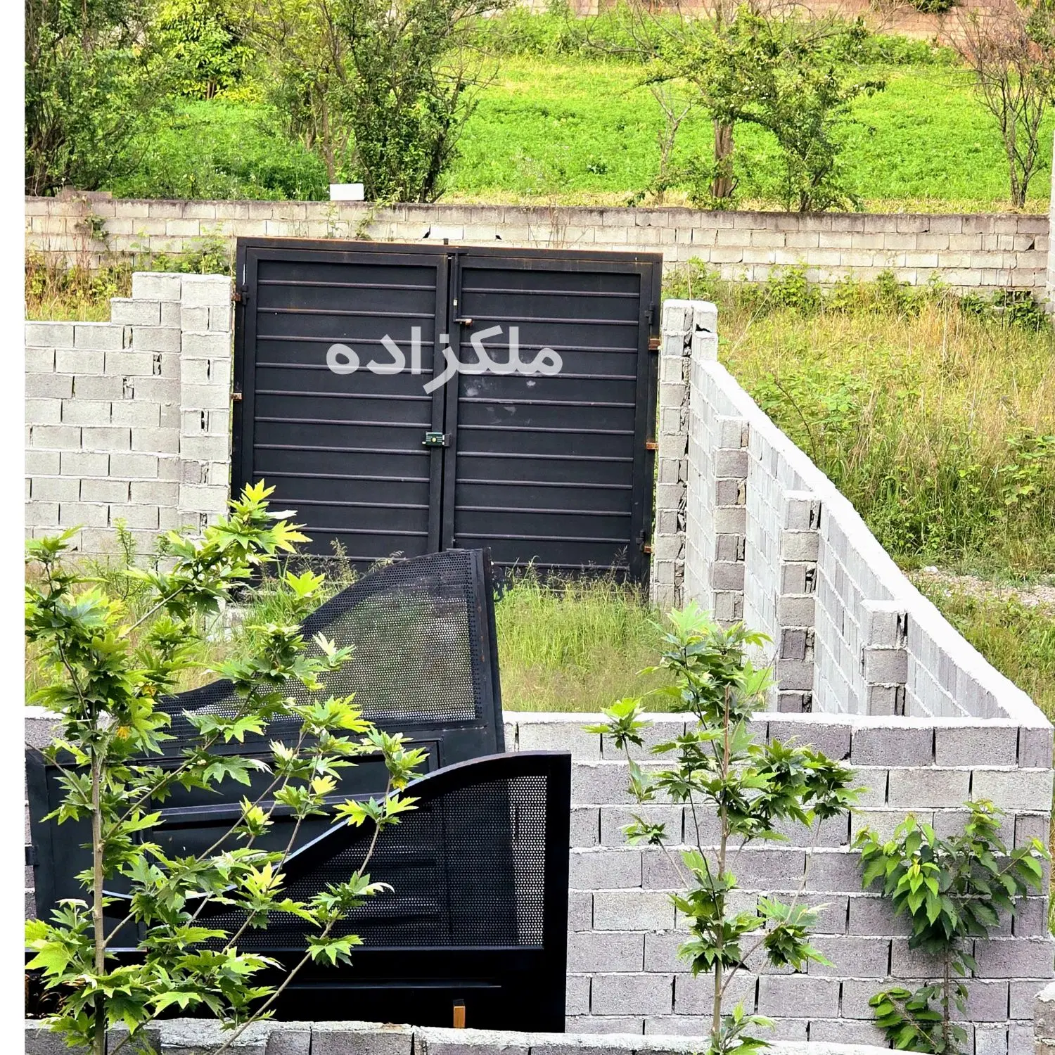 زمین مستقل ۲۲۰ متری ( دور دیوار) فقط۴۶۰م