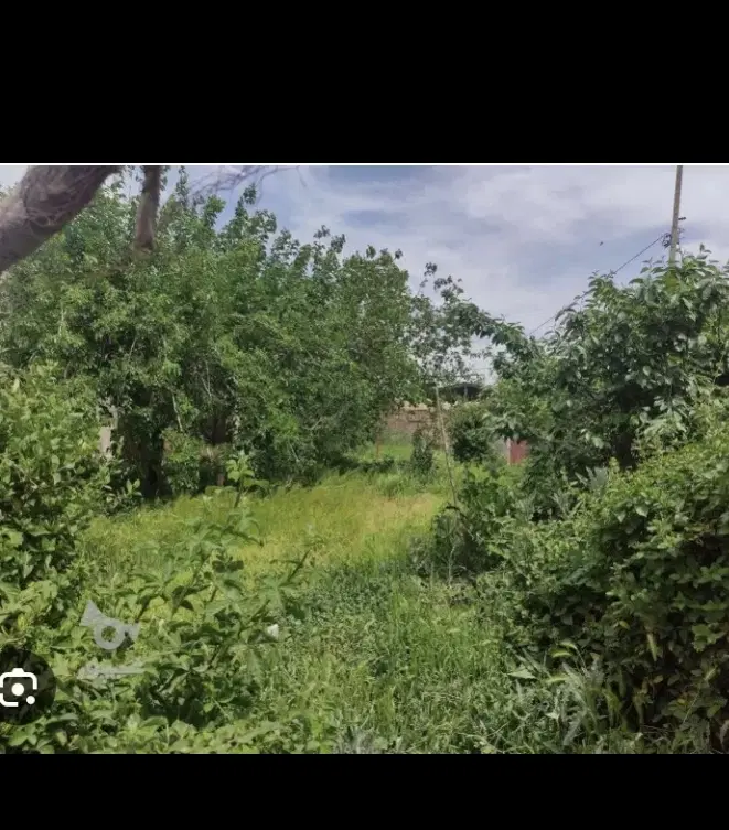 ۱۲۰متر بیجارپس