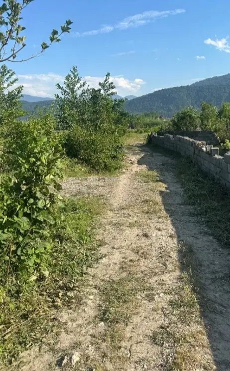 زمین