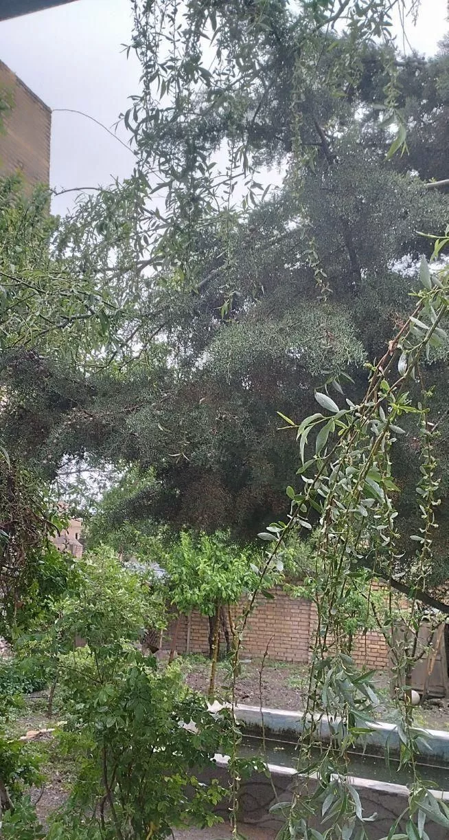 منزل ویلایی در جاده کاهو روستای هاشم آباد،خ شهریار