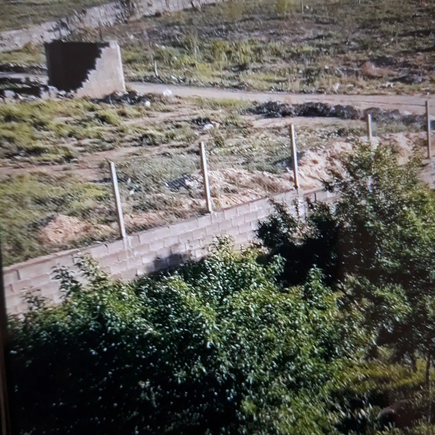 زمین باغی شورین