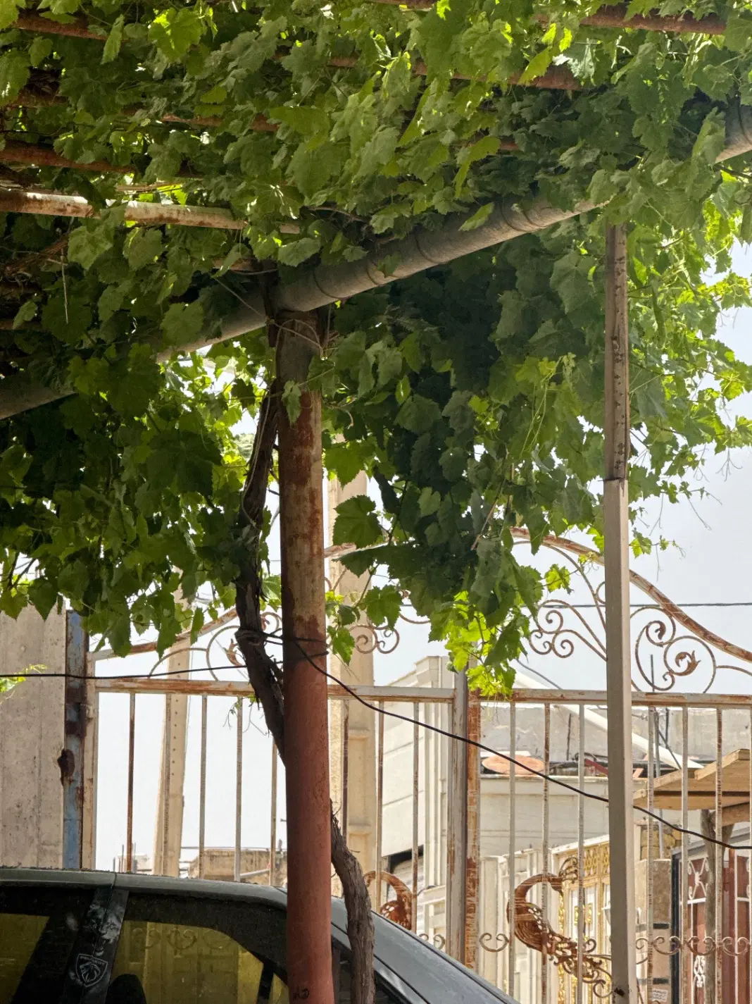 فروش خانه ویلایی