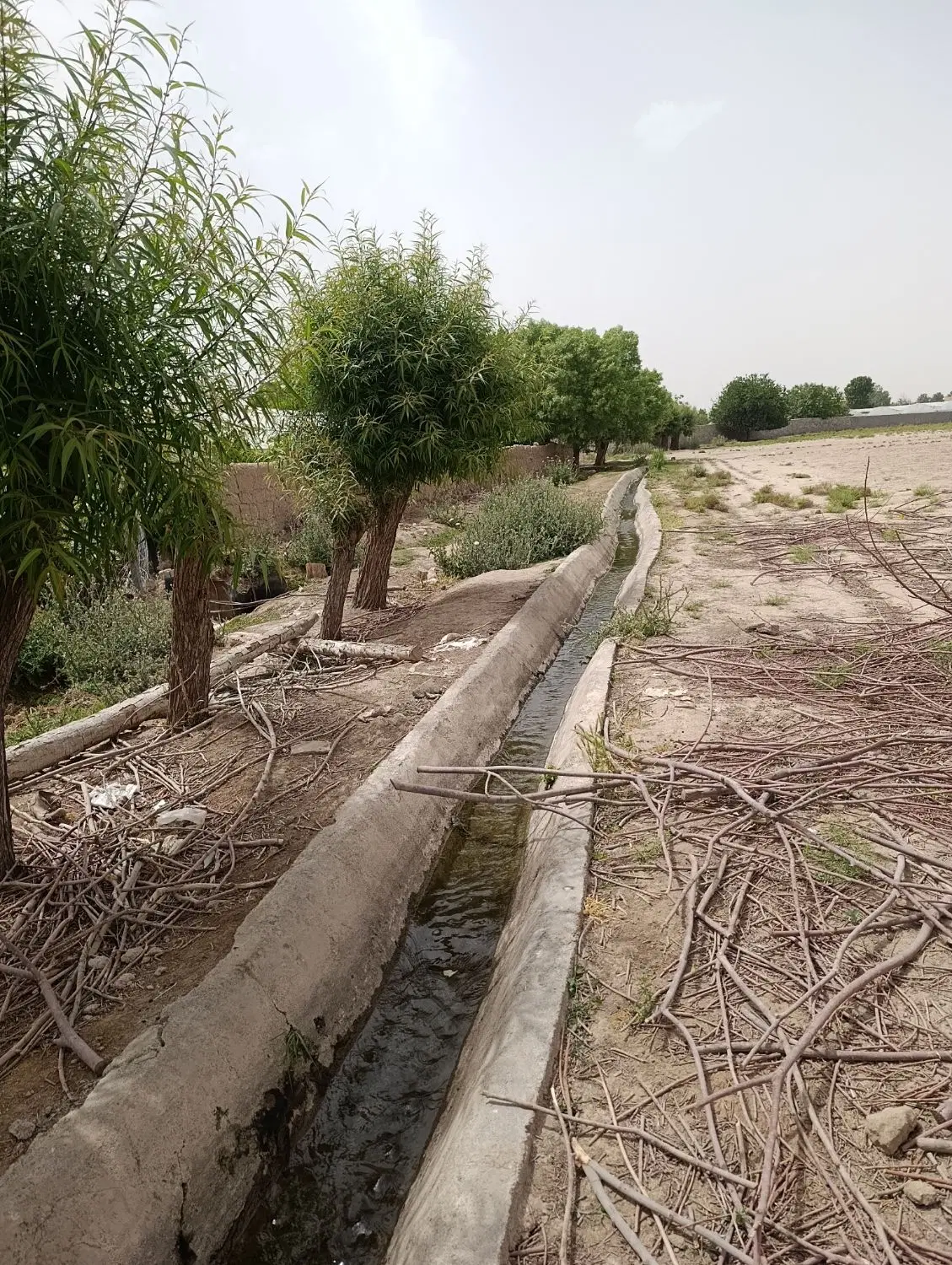 زمین باغ باغچه