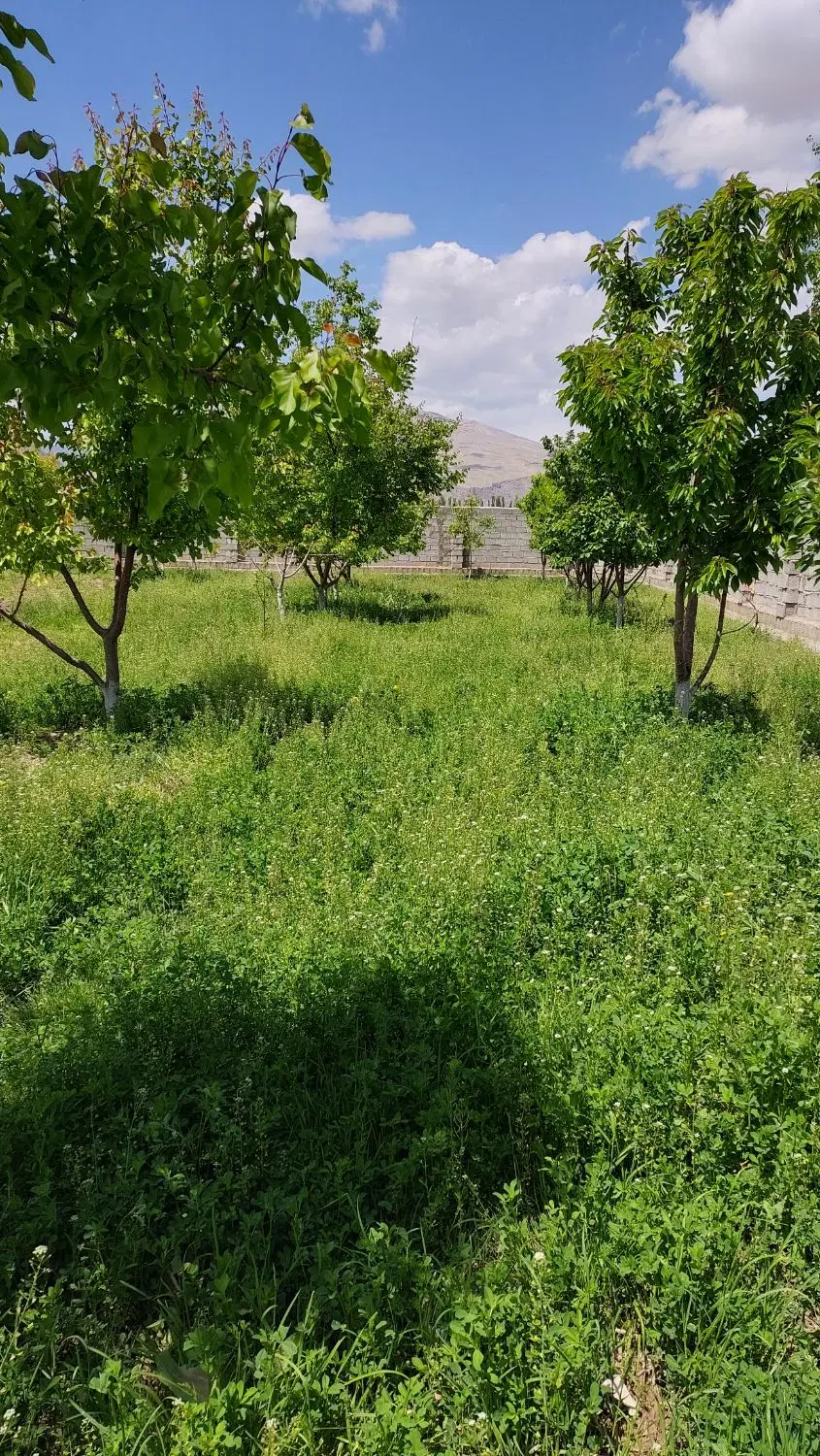 فروش باغ میوه پرثمر
