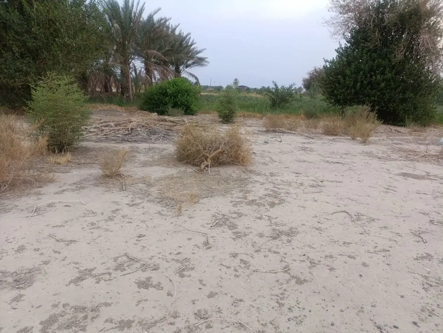 فروش زمین کشاورزی پشت لر
