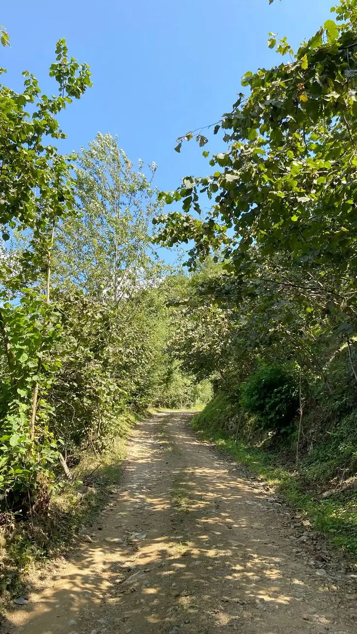زمین فروشی