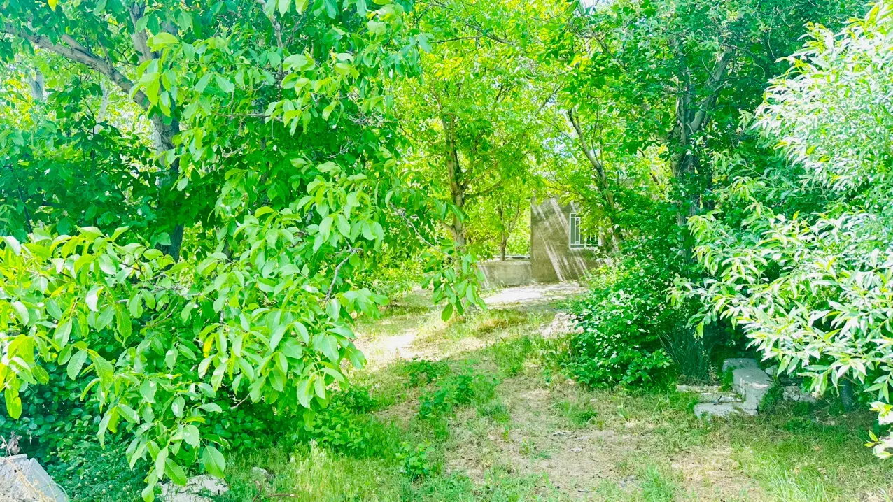 باغ هزار متری زرشک