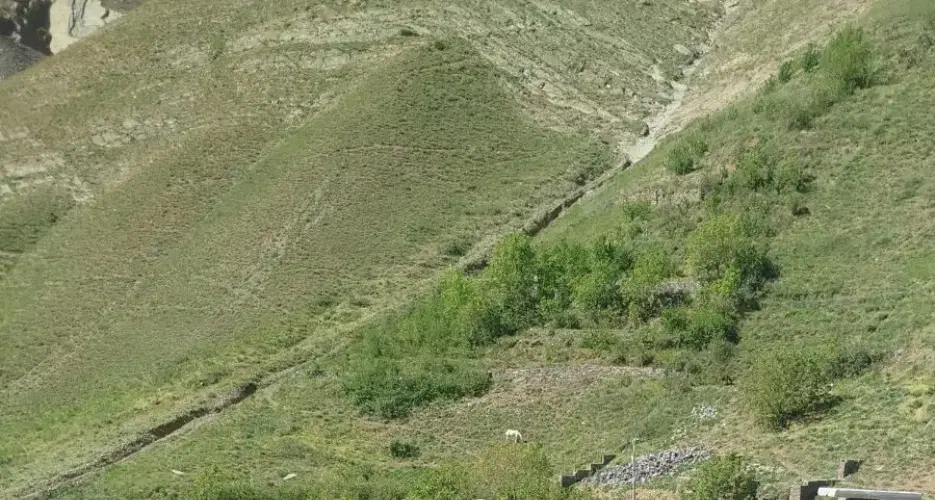 زمین ۳۰۰ متر فروشی