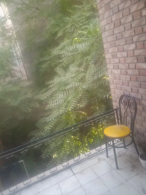 142 متری بهار سهروردی