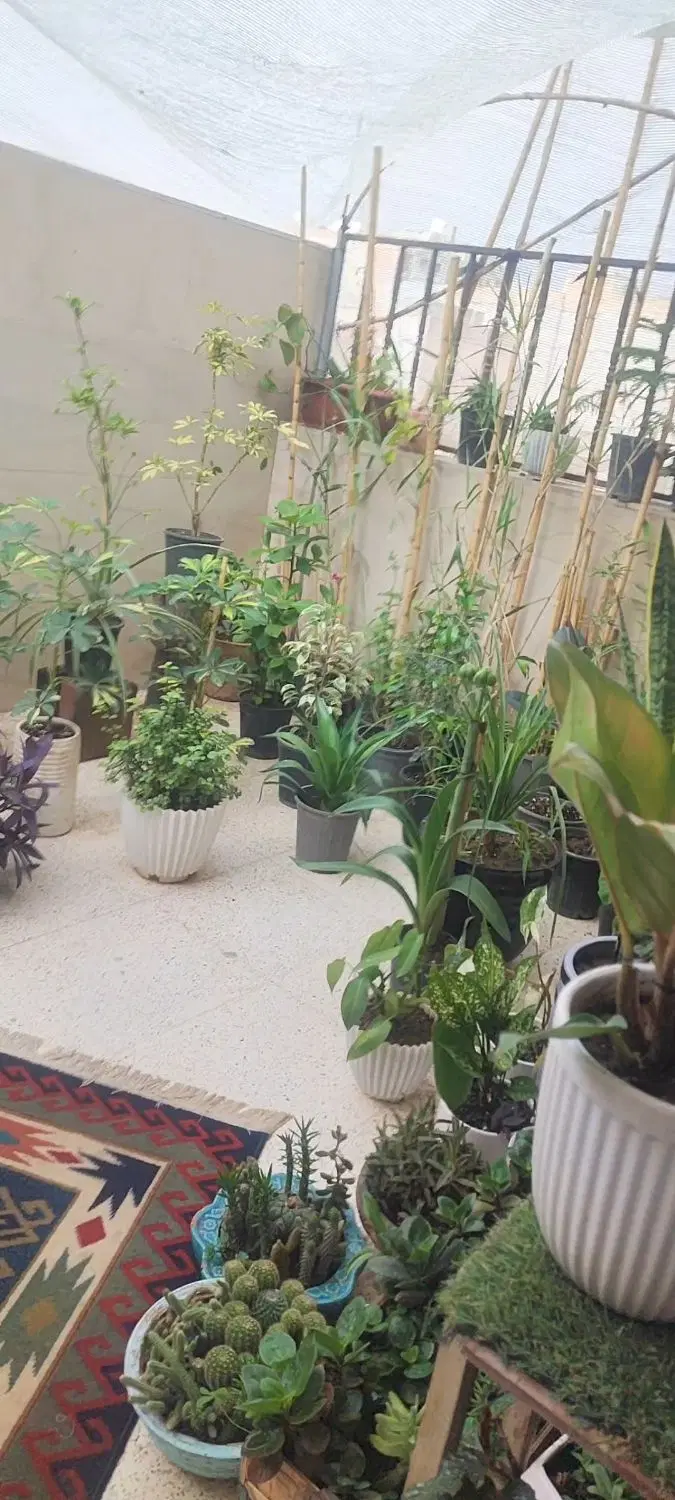 فروش خانه