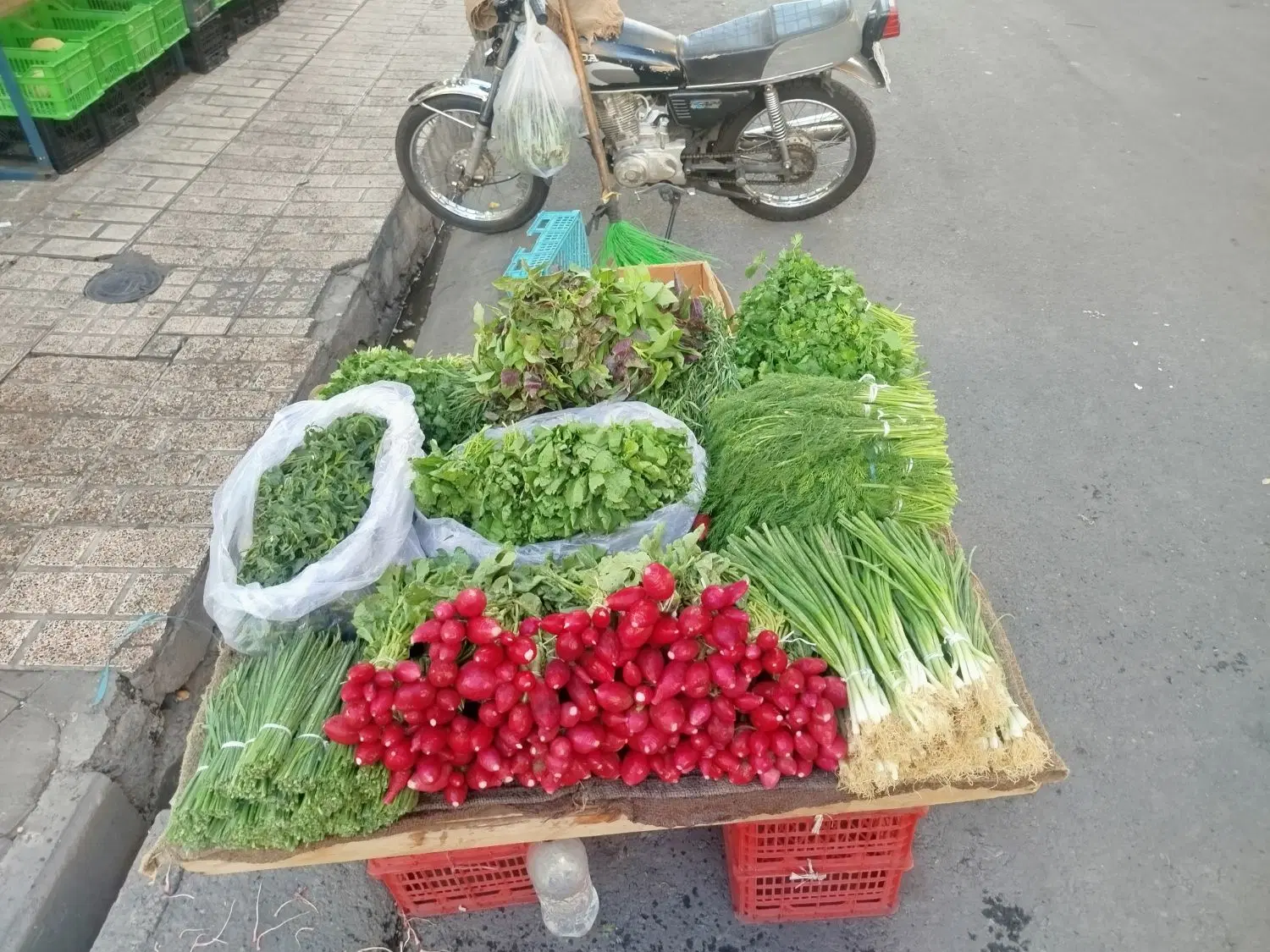اجاره سبزی