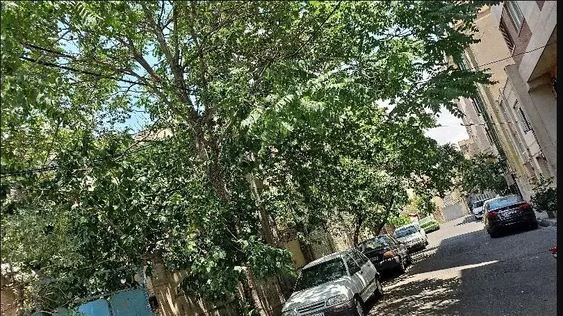 فروش ساختمان کلنگی 209 متری شمالی