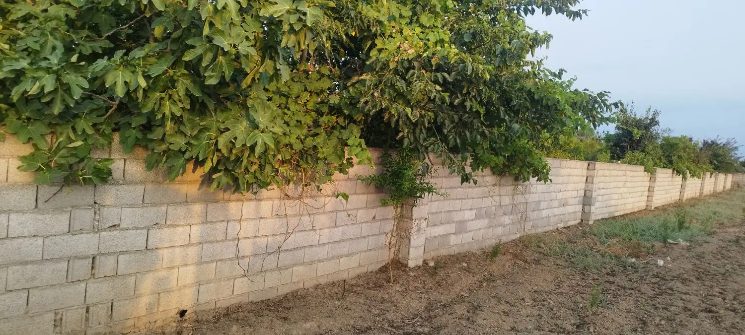 زمین 1112متری برای ویلا باغ