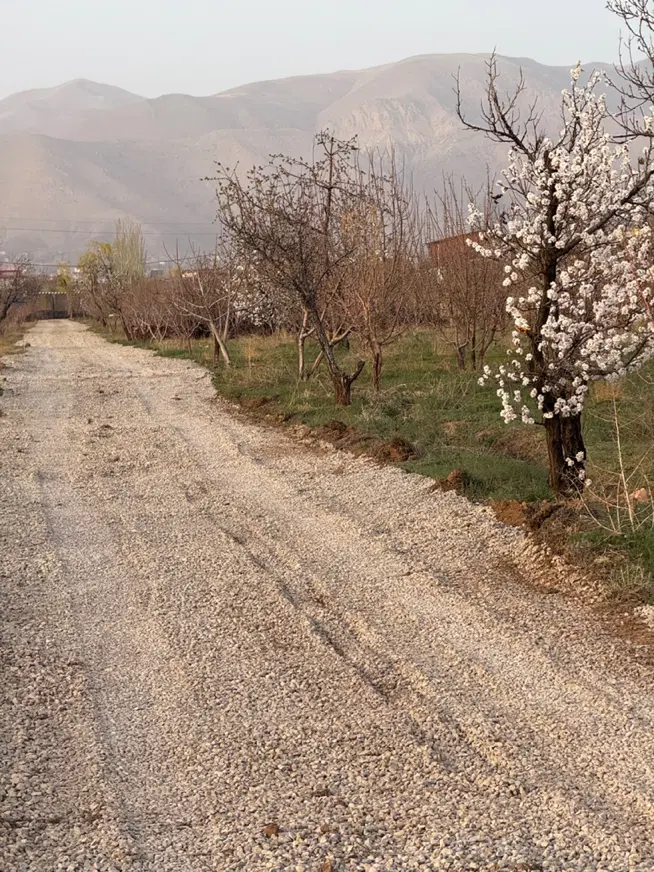 یک قطعه ۵۱۰متری زمین در جابان بزرگ «سند تکبرگ»