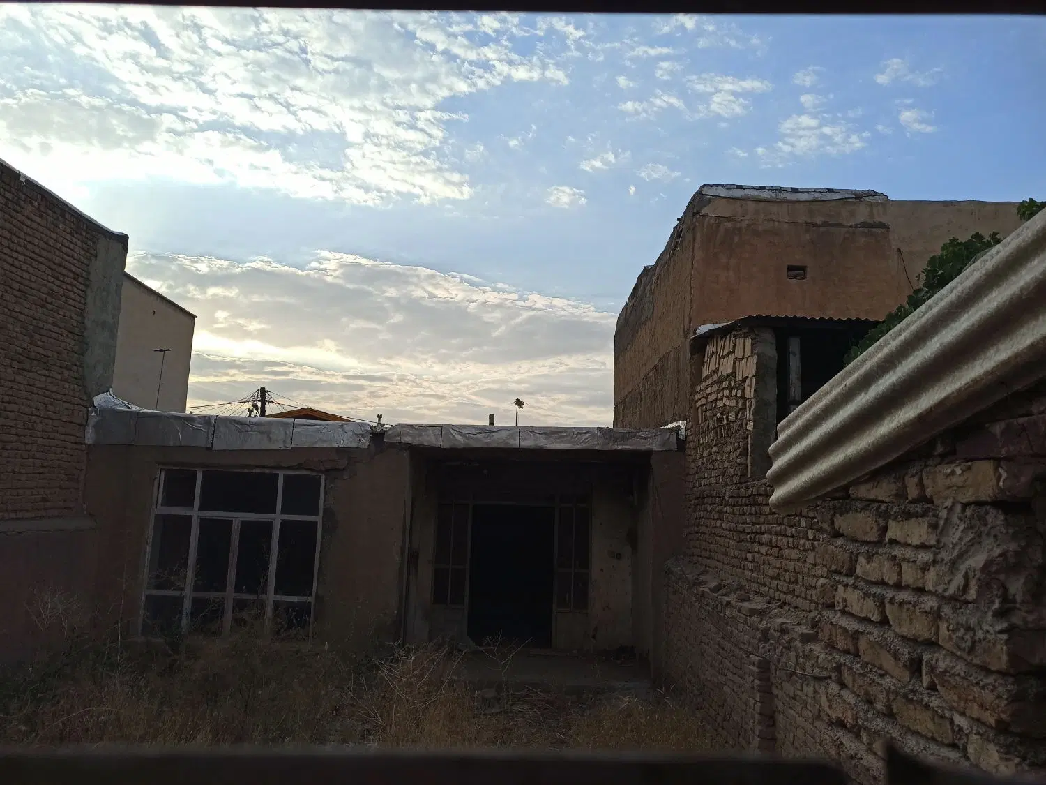 کلنگی در شاهپسند