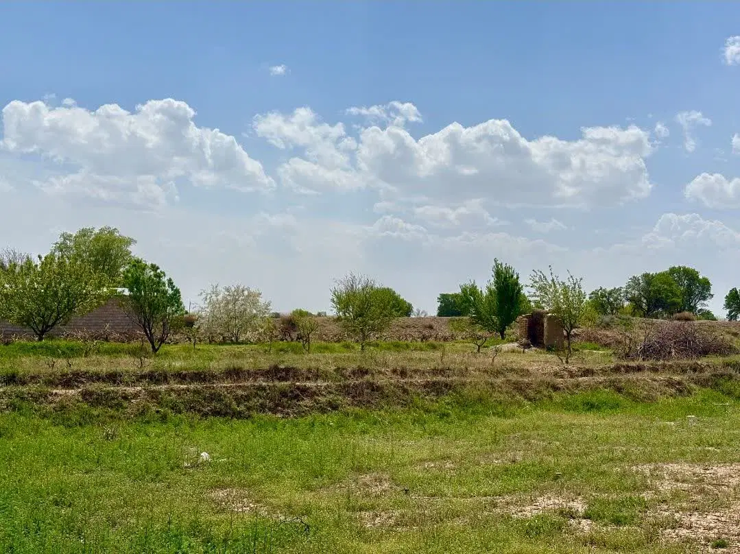 ۹ قطعه مونده شاید زمین بعدی مال تو باشه