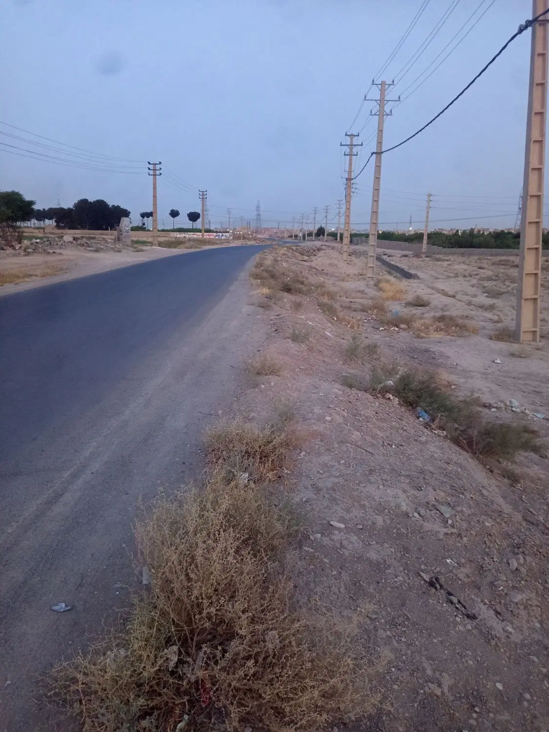 زمین کشاورزی