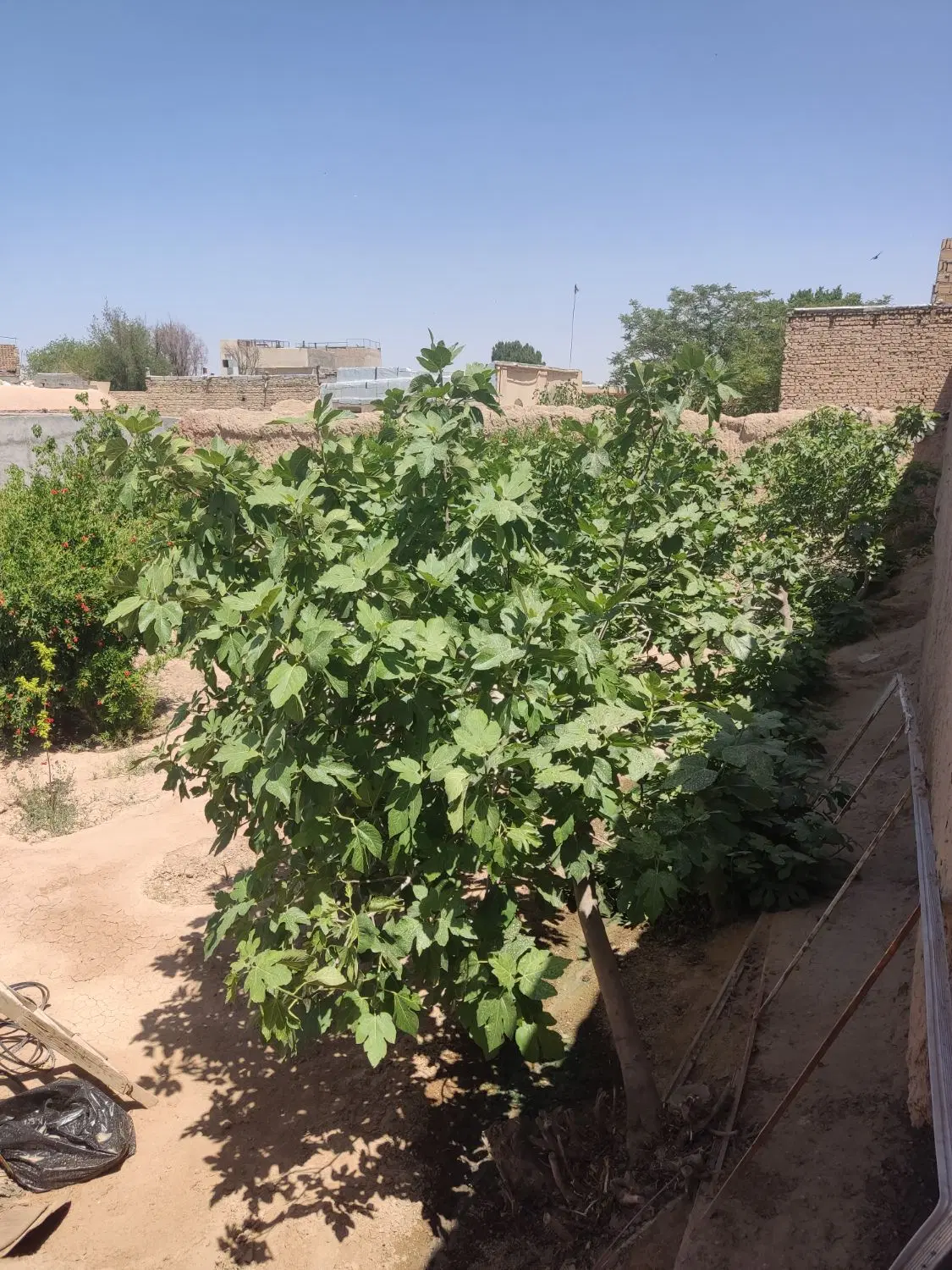 خانه ویلایی سند دار