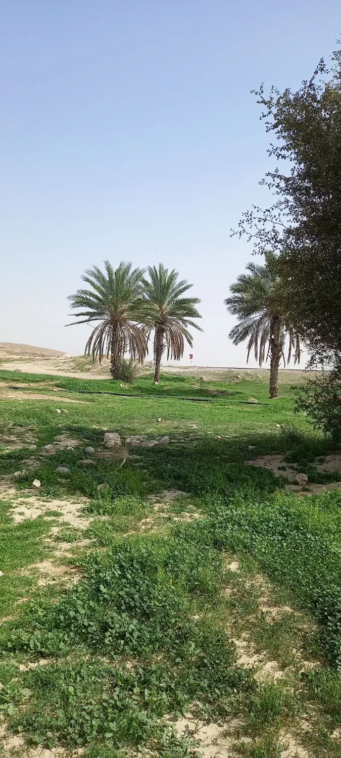 فروش زمین جنب درمان بستر فاریاب
