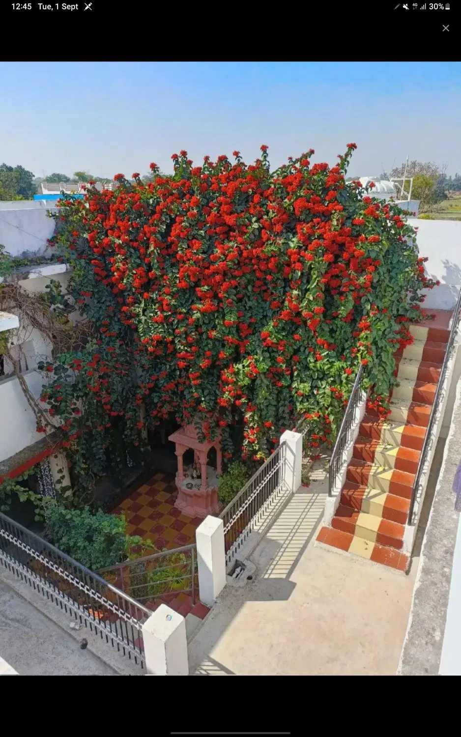اجاره زیرزمین _ ۶۰ متر _ فاز یک کیو _مسکونی اداری