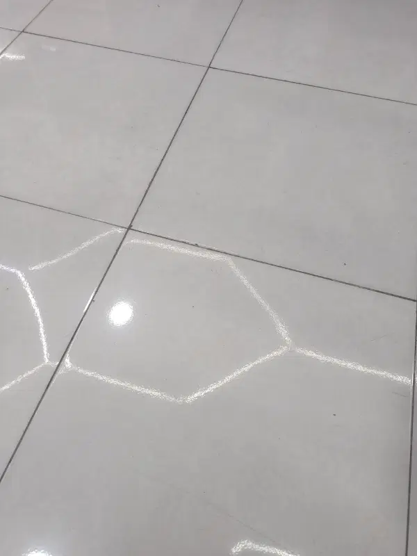 هم خونه آقا