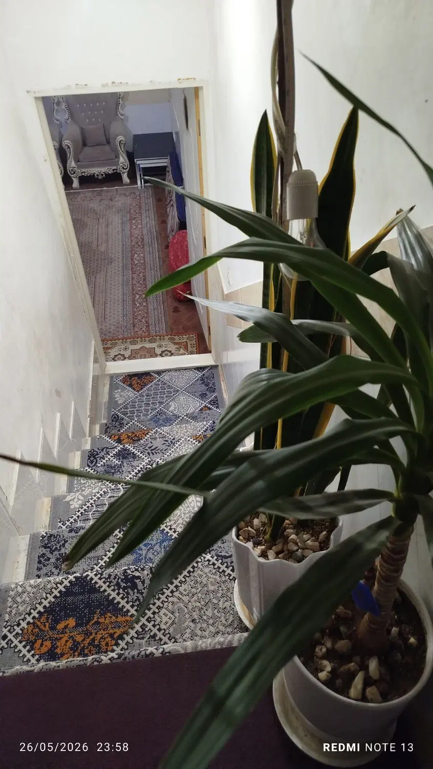 با پول یه ماشین یه خونه ی شیک و دربست بخرید