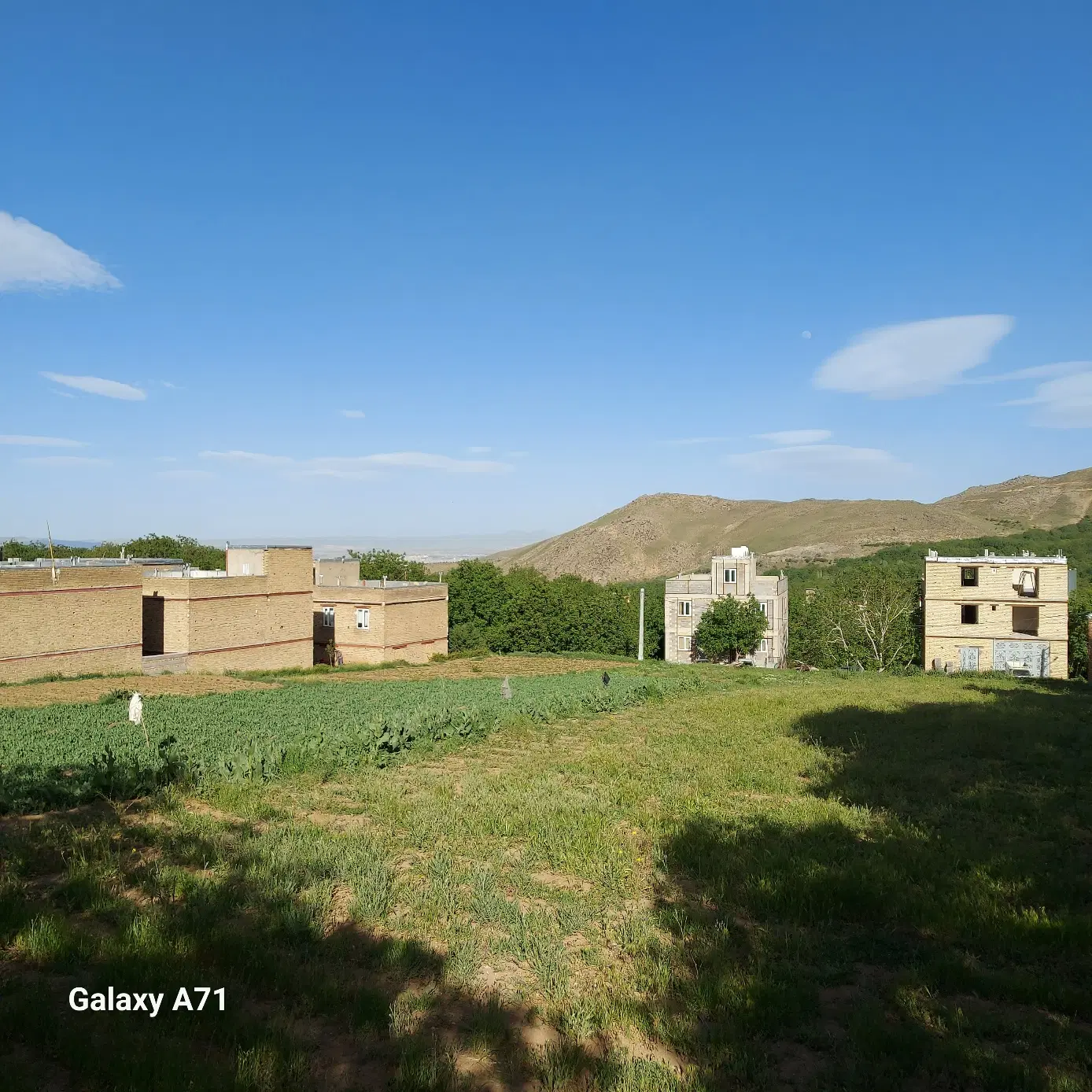 زمین در بافت مسکونی، روستای موئیجین