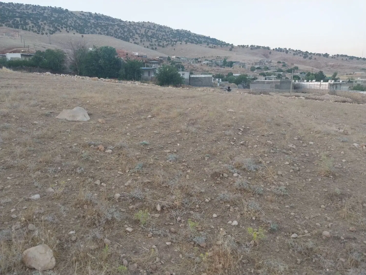 تجاری مسکونی