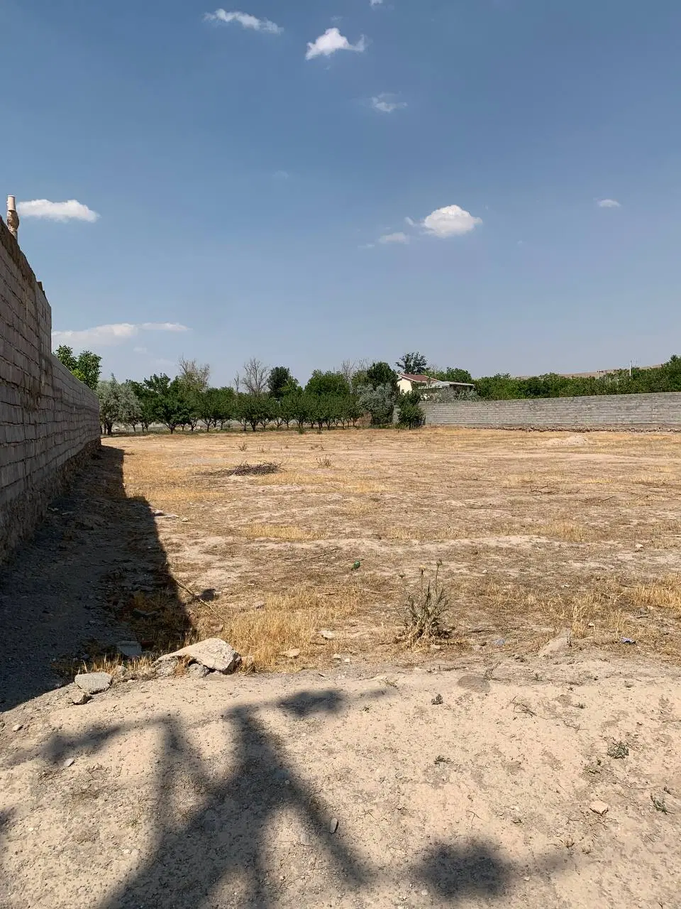 زمین سردخانه