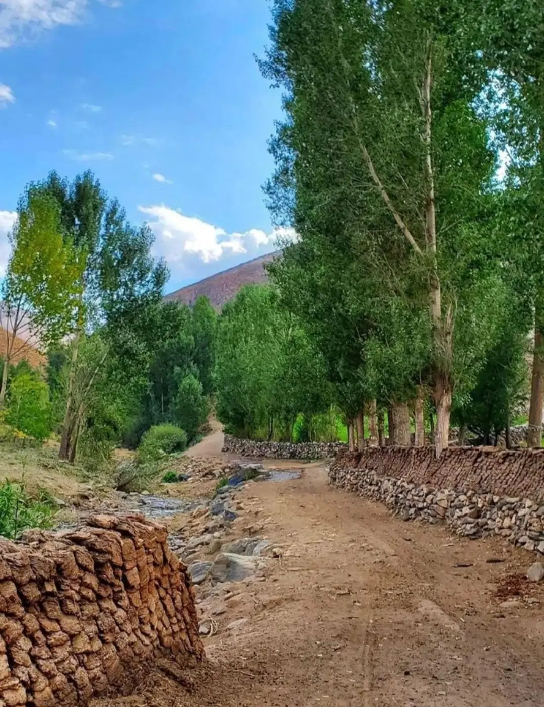 زمین فروشی