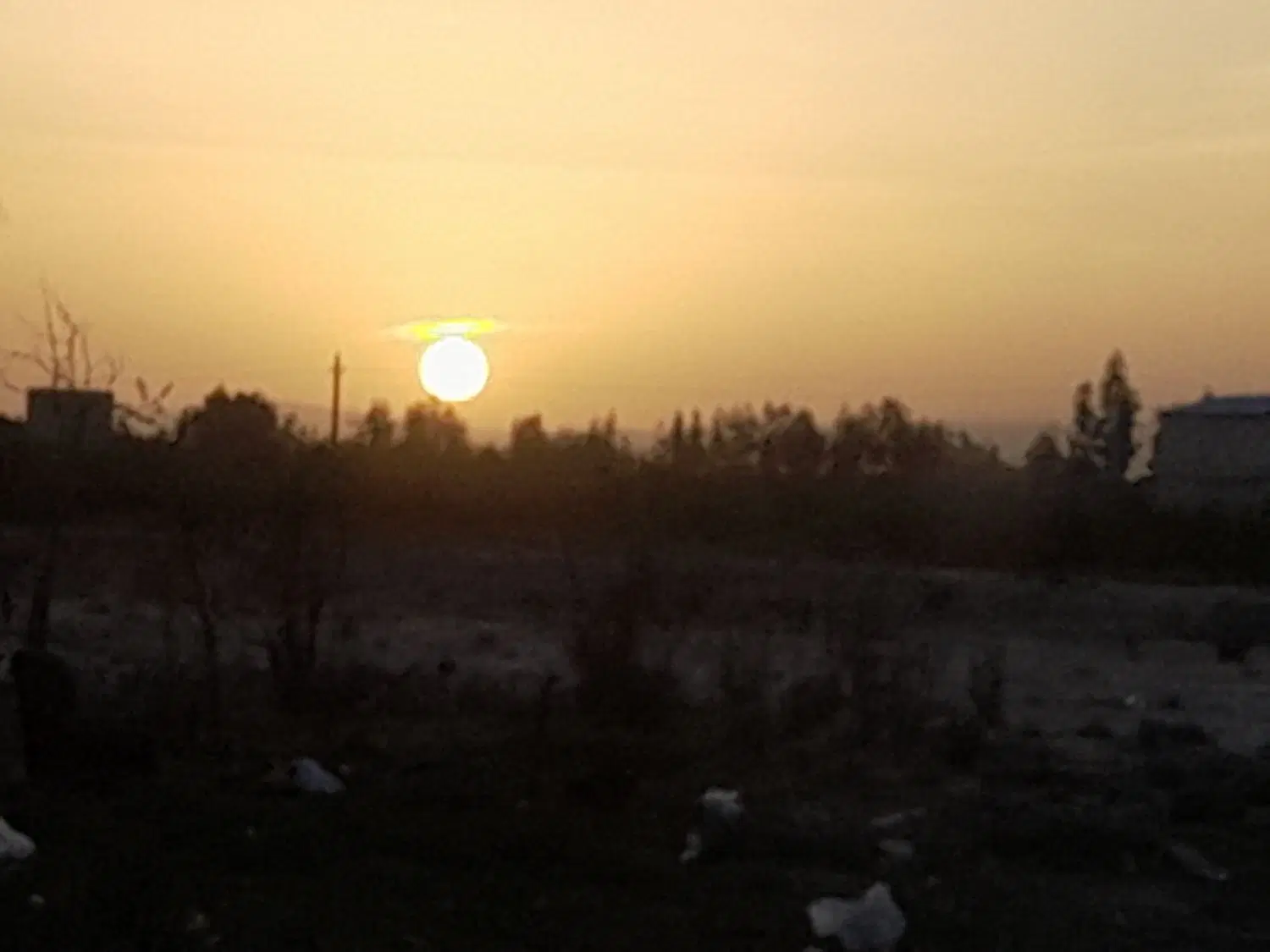 زمین کشاورزی