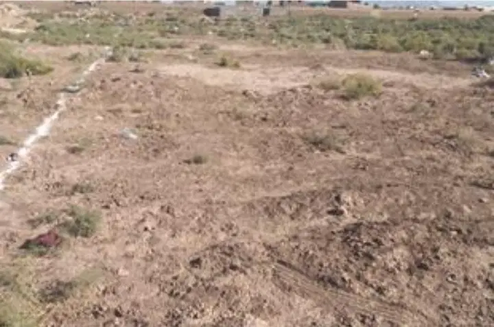 مسکن ملی