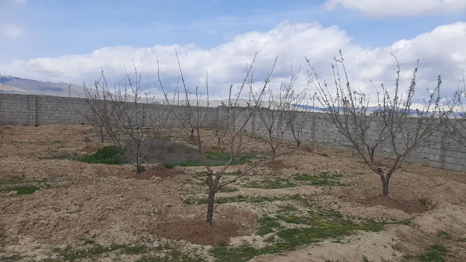زمین و باغ ویلایی  صوفیان