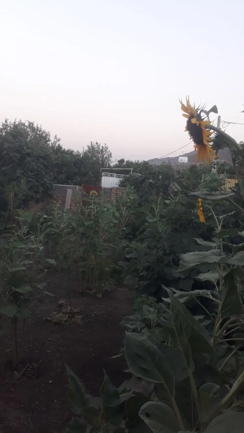 زمین فروشی