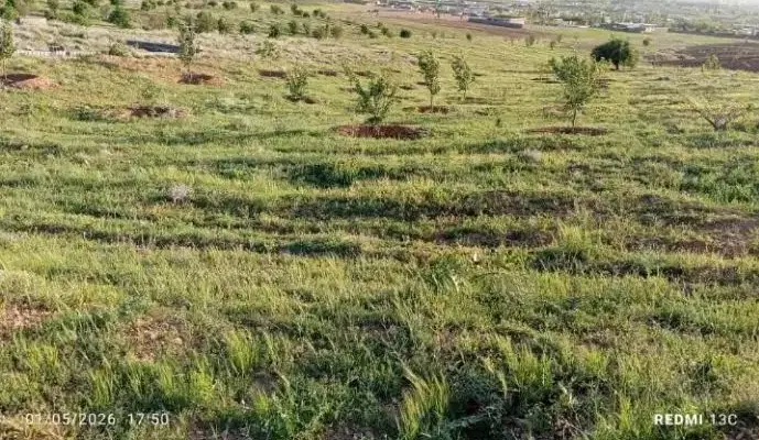 زمین هزار متری، دراطراف شهر خان زنیان