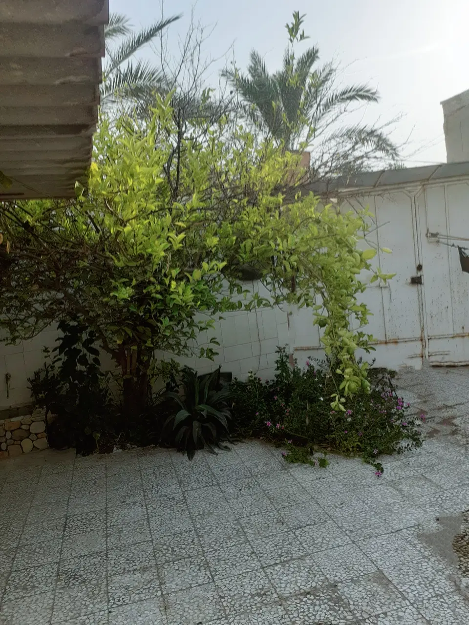 خانه ویلایی بندر گناوه..معاوضه با تجاری مسکونی