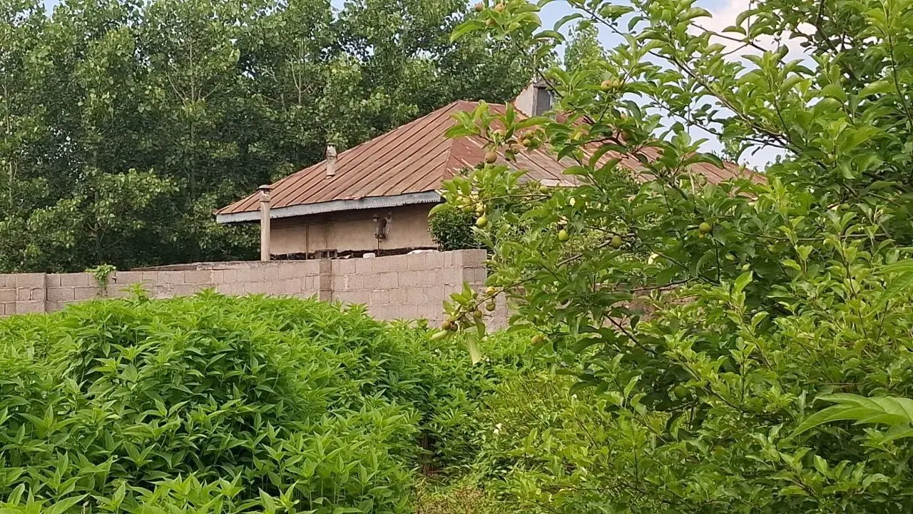 ۳۰۰متر زمین مسکونی چهار دیواری