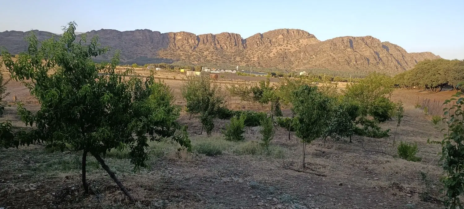 فروش باغ