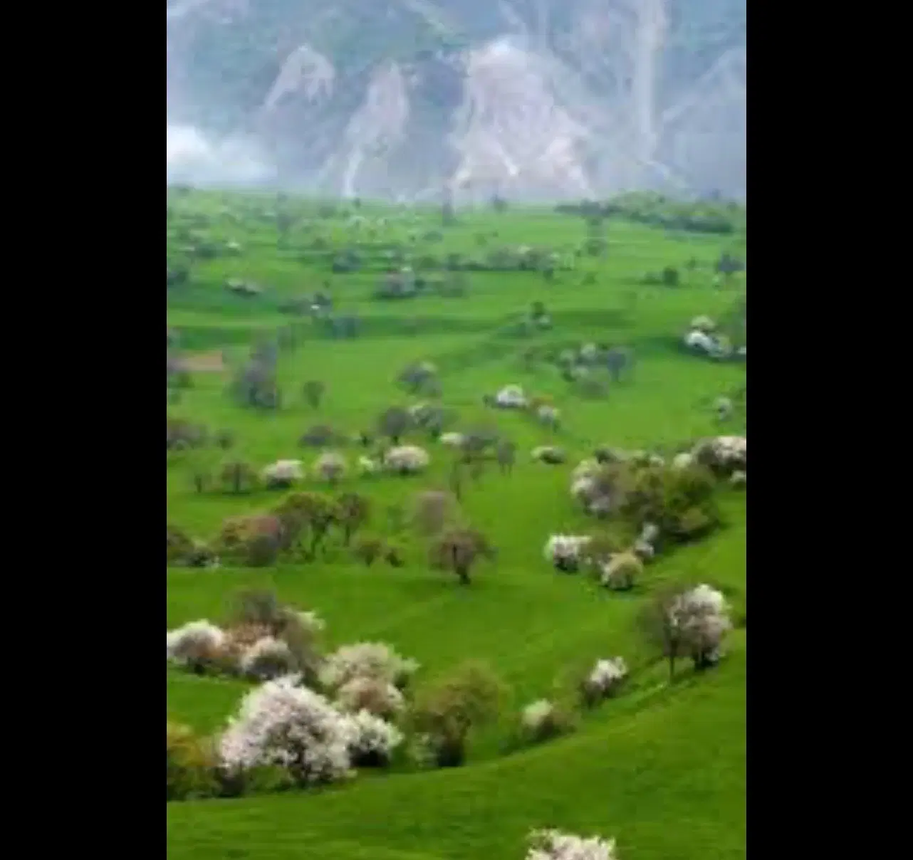 زمین