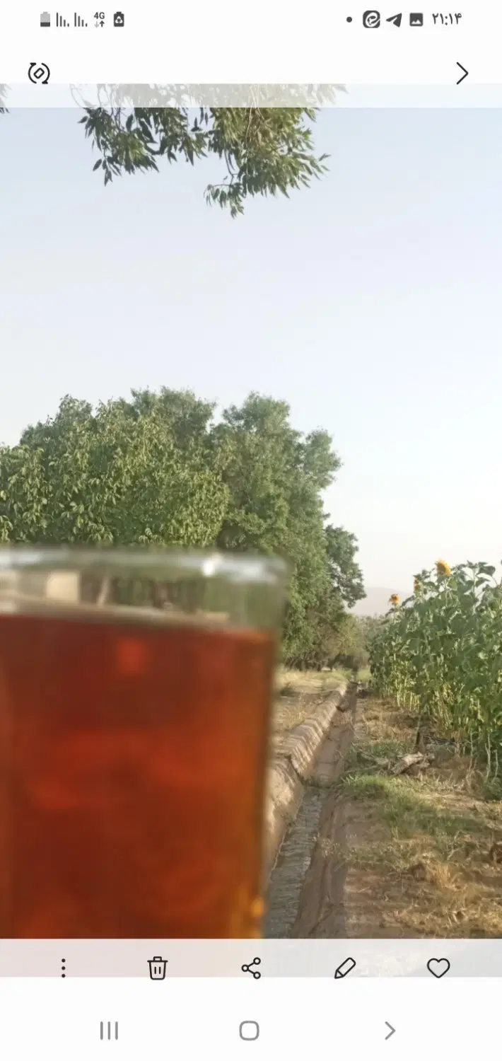 زمین کشاورزی مناسب سرمایه گذاری  باغ پسته وبادام