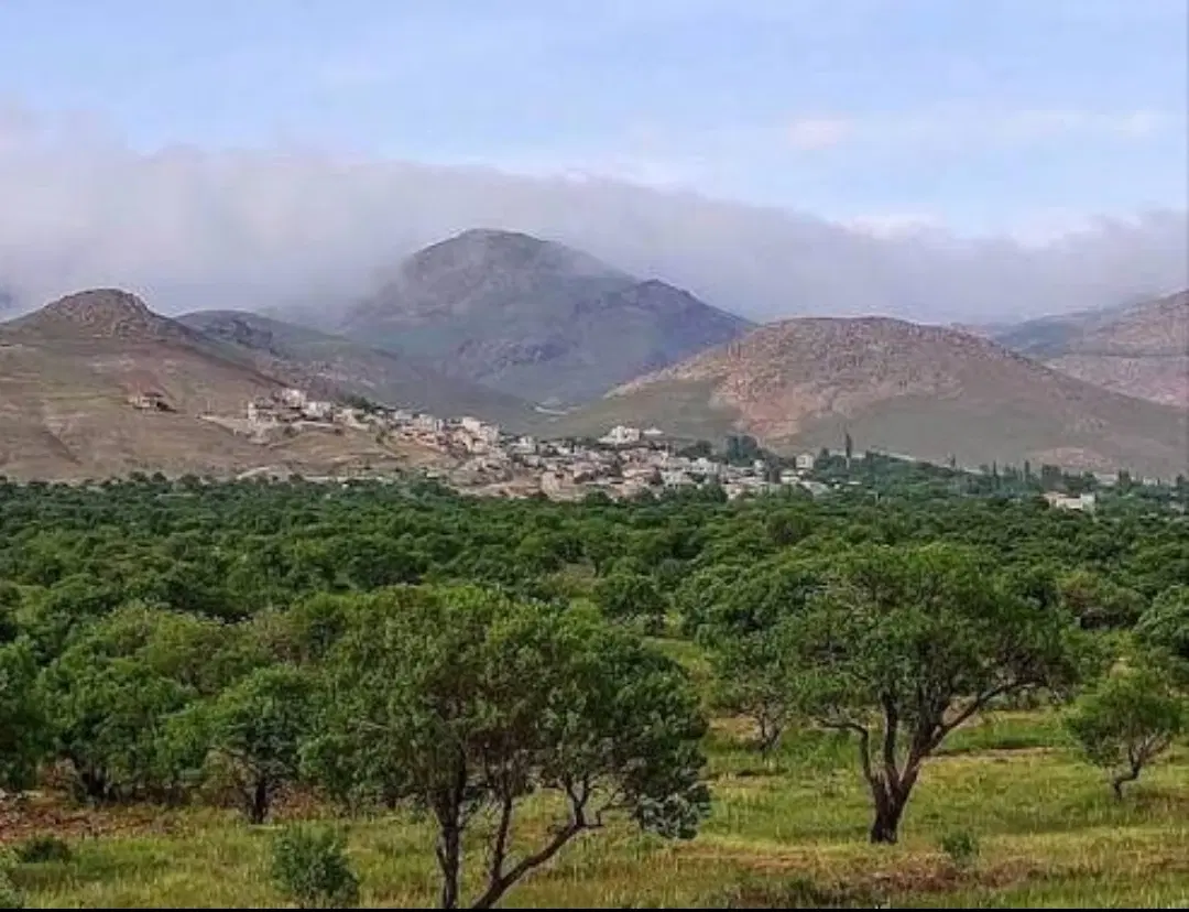 زمین زراعی عبدل آباد کوهپایه