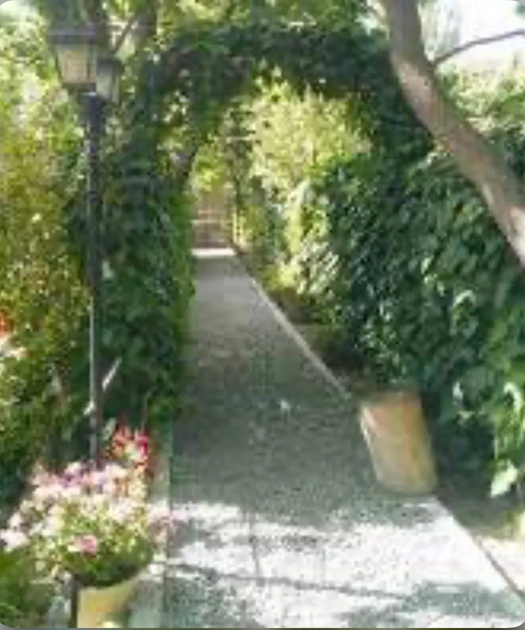 باغ شهری