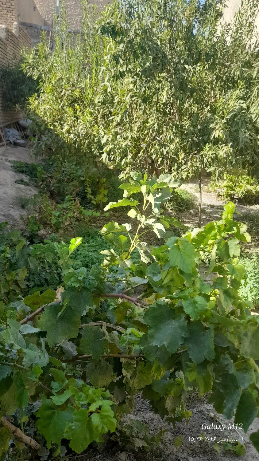 فروش خانه مسکونی
