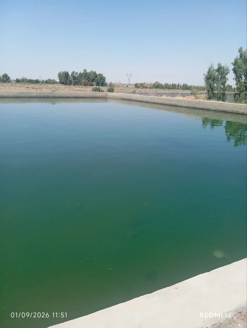 زمین