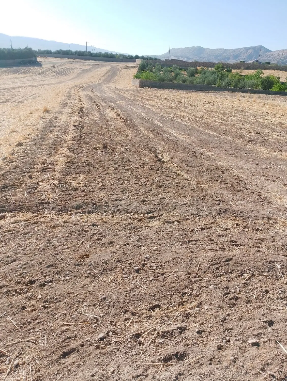 زمین آبی