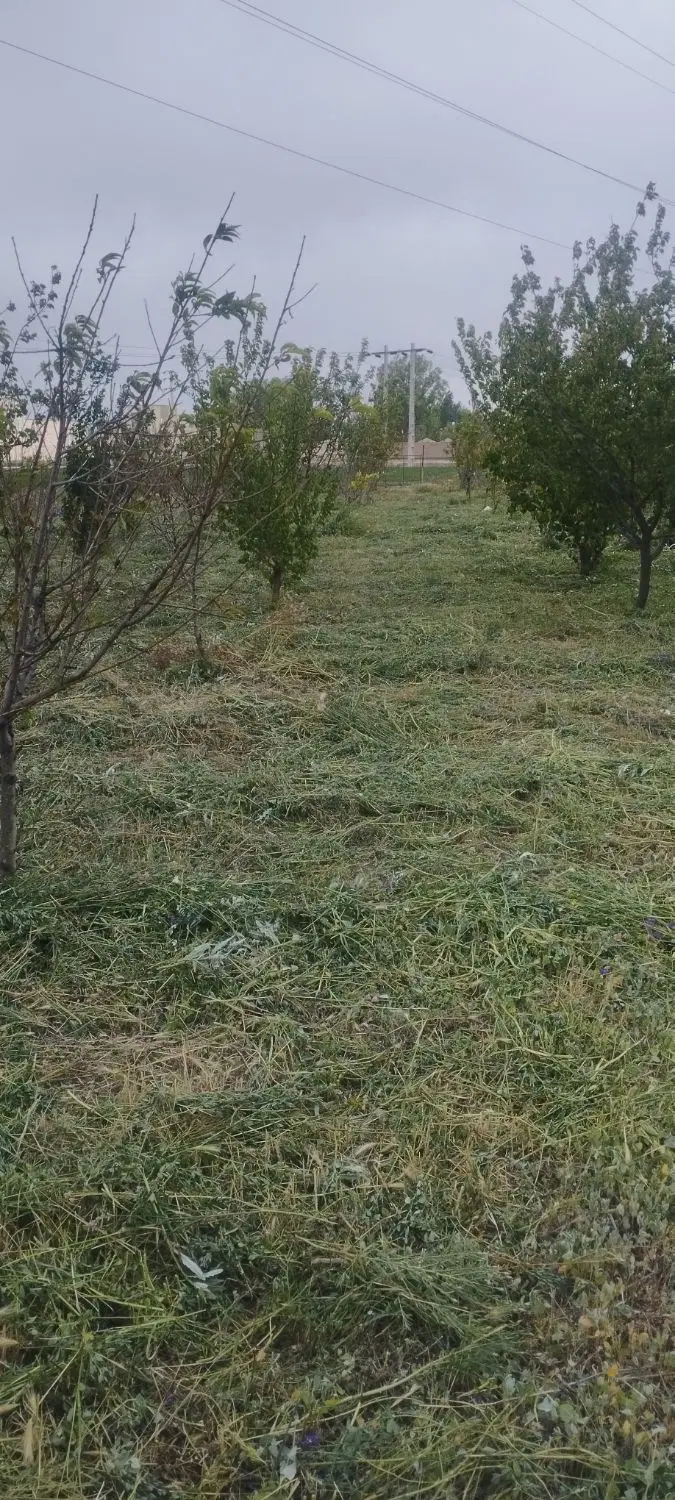 فروش باغ