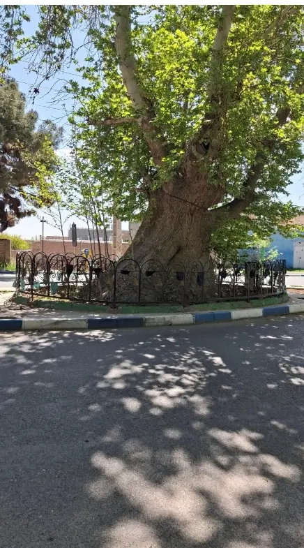 زمین داخل بافت ۴۰۰متر سعد آباد ورامین