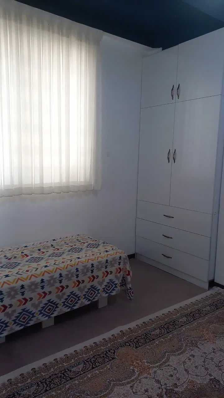 فروش زیتون فول امکانات فوری