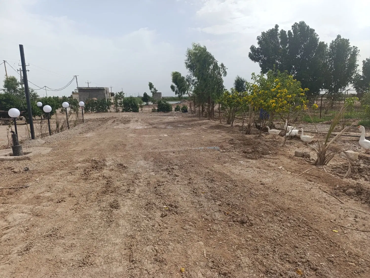 زمین باغ ویلا شوشتر